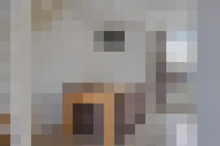 Fluitekruidlaan 78 Scherpenzeel thumbnail 6