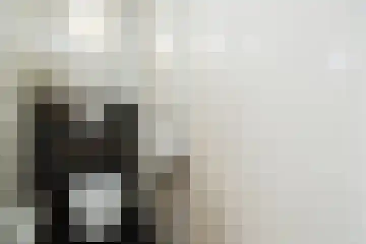 Fluitekruidstraat 11 Hedel thumbnail 14