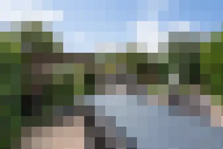 Fluitekruidstraat 11 Hedel thumbnail 32