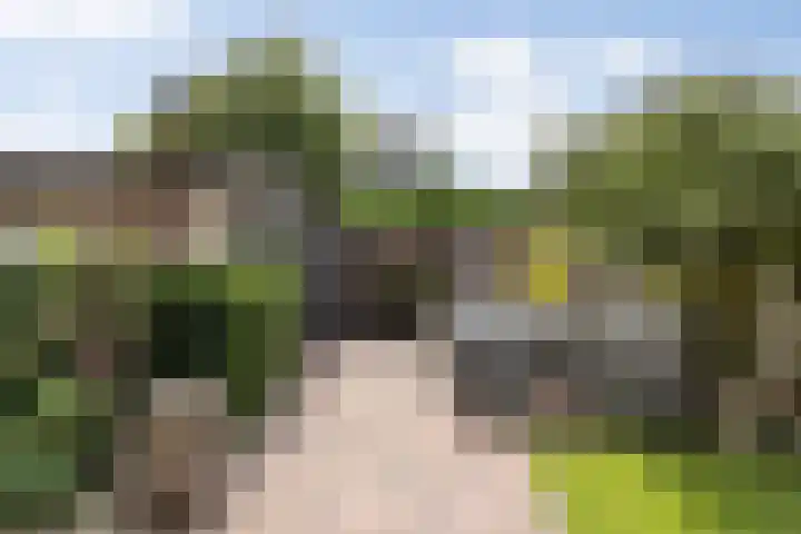 Fluitekruidstraat 11 Hedel thumbnail 33