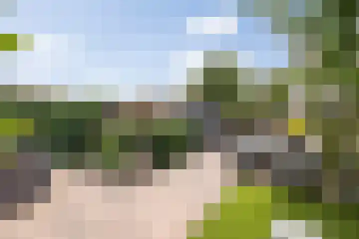 Fluitekruidstraat 11 Hedel thumbnail 34