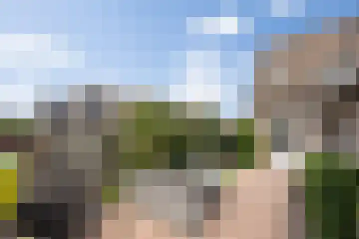 Fluitekruidstraat 11 Hedel thumbnail 35