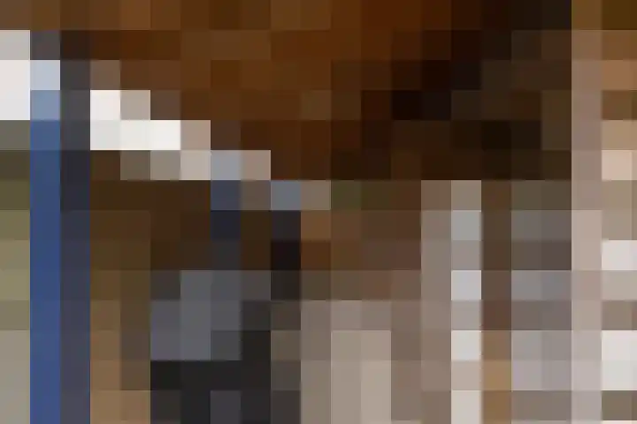 Fluitekruidstraat 11 Hedel thumbnail 37