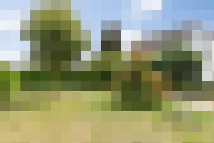 Fluitekruidstraat 11 Hedel thumbnail 38