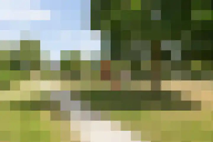 Fluitekruidstraat 11 Hedel thumbnail 39