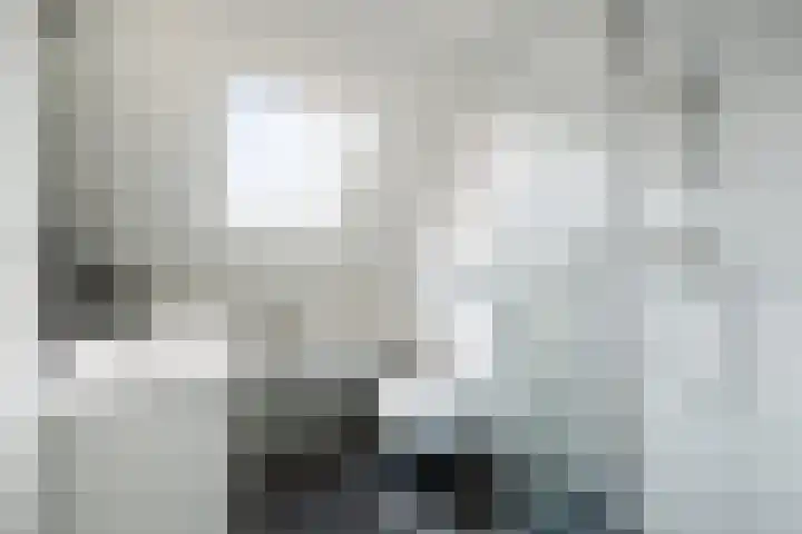 Fluitekruidstraat 11 Hedel thumbnail 4