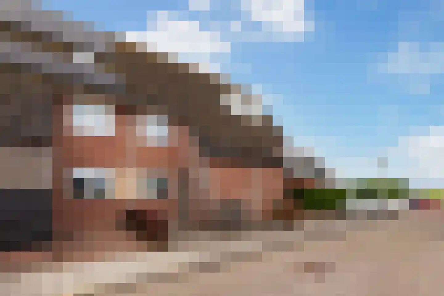 Fluitekruidstraat 14 in Bleskensgraaf ca