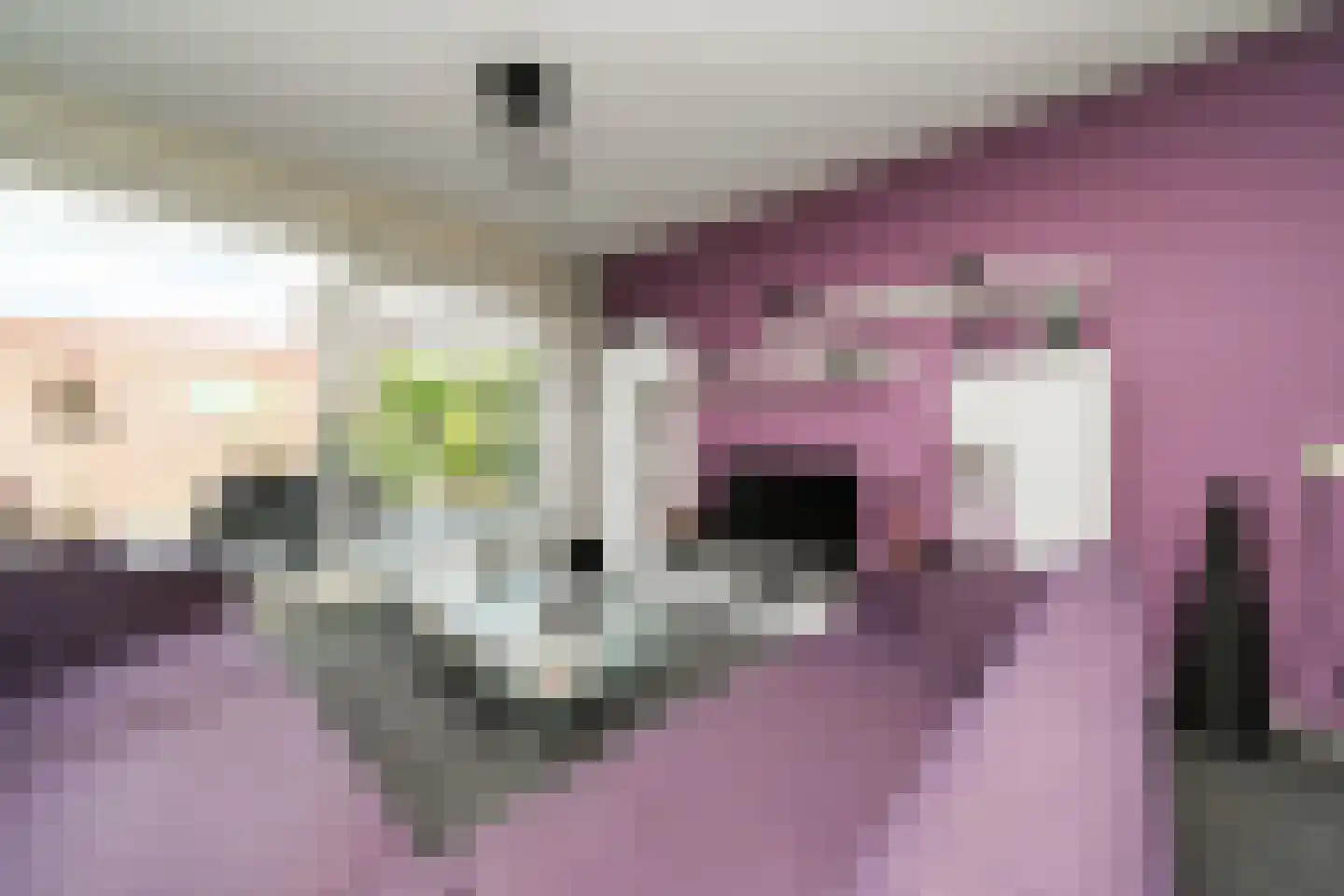 Fluitekruidstraat 16 Bleskensgraaf ca thumbnail 8