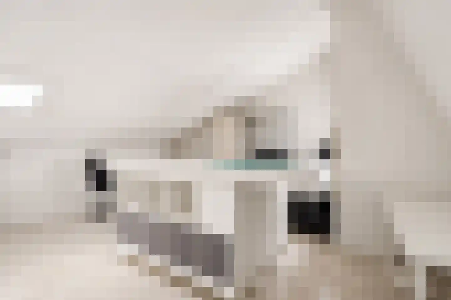 Fluitekruidstraat 27 Almere thumbnail 31