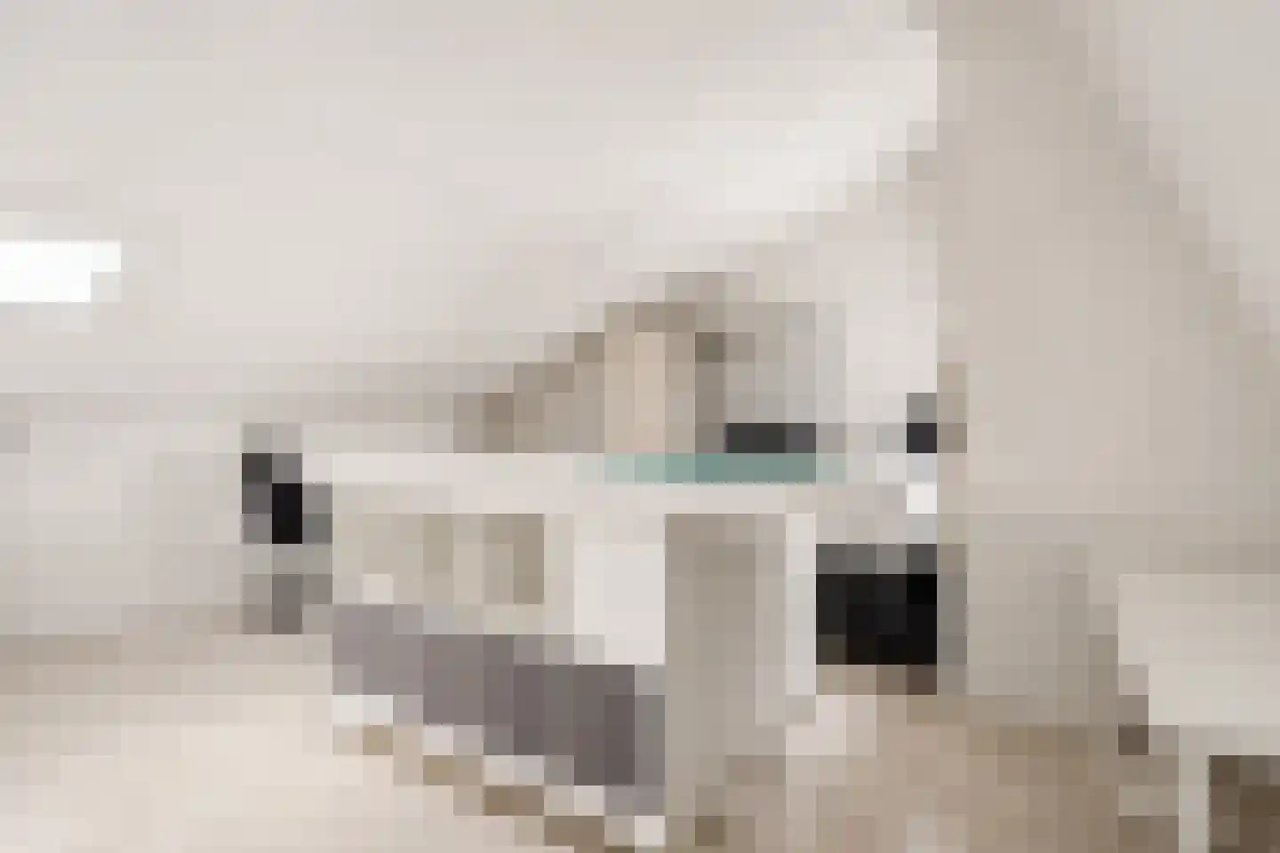 Fluitekruidstraat 27 Almere thumbnail 35