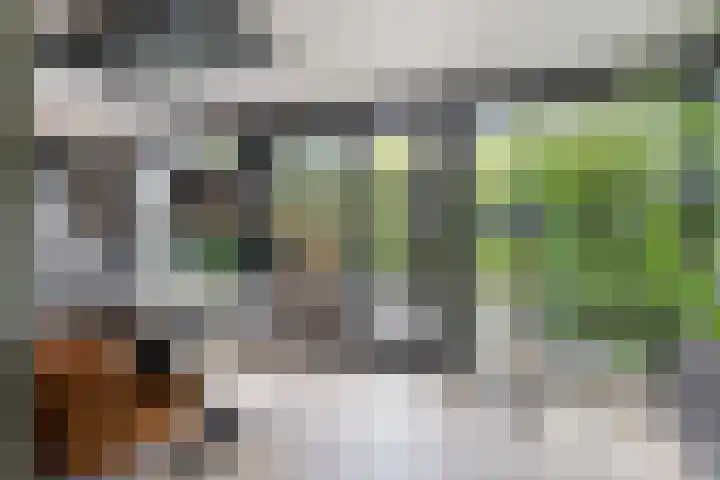 Fluitekruidstraat 31 Goes thumbnail 11