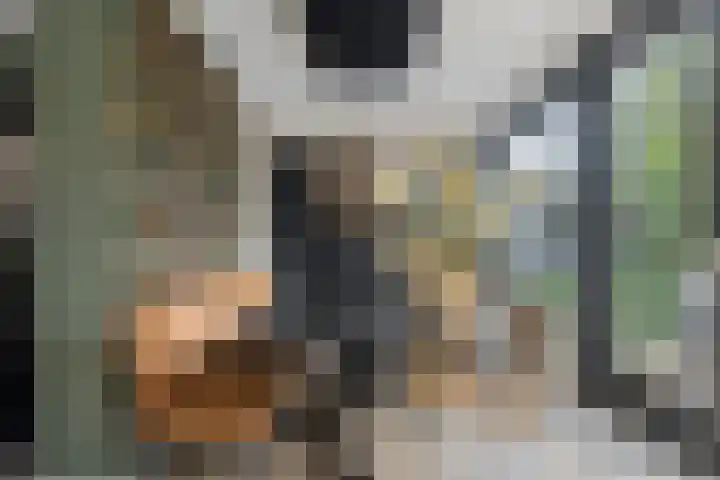 Fluitekruidstraat 31 Goes thumbnail 12