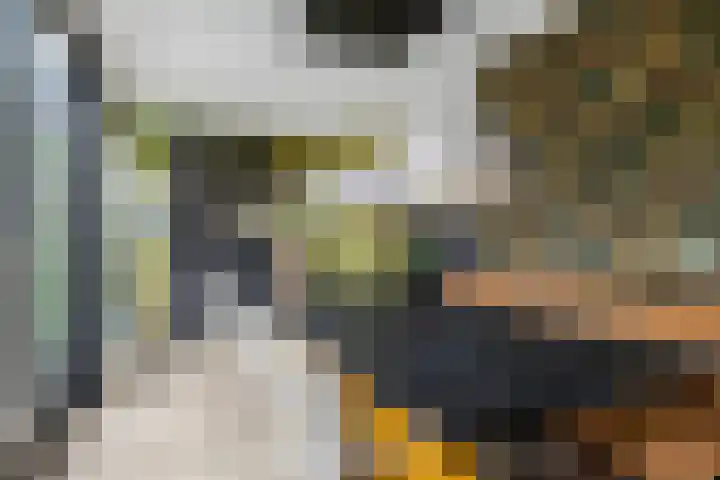 Fluitekruidstraat 31 Goes thumbnail 13