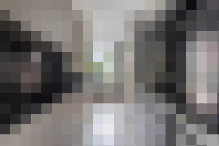 Fluitekruidstraat 31 Goes thumbnail 14