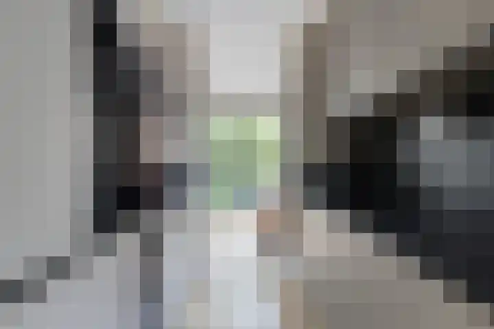Fluitekruidstraat 31 Goes thumbnail 15