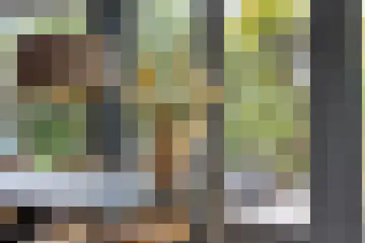 Fluitekruidstraat 31 Goes thumbnail 16