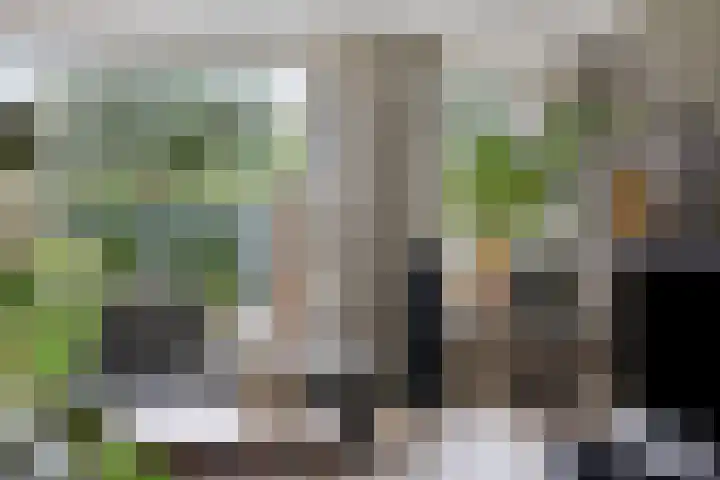 Fluitekruidstraat 31 Goes thumbnail 17