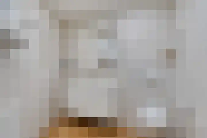 Fluitekruidstraat 31 Goes thumbnail 23