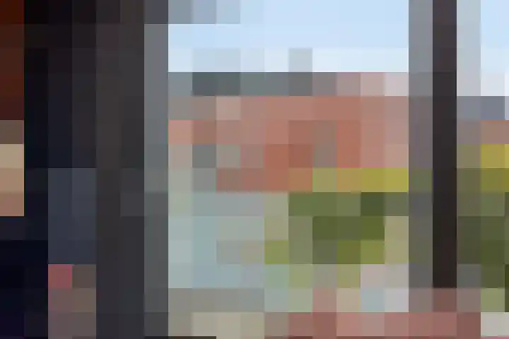 Fluitekruidstraat 31 Goes thumbnail 34