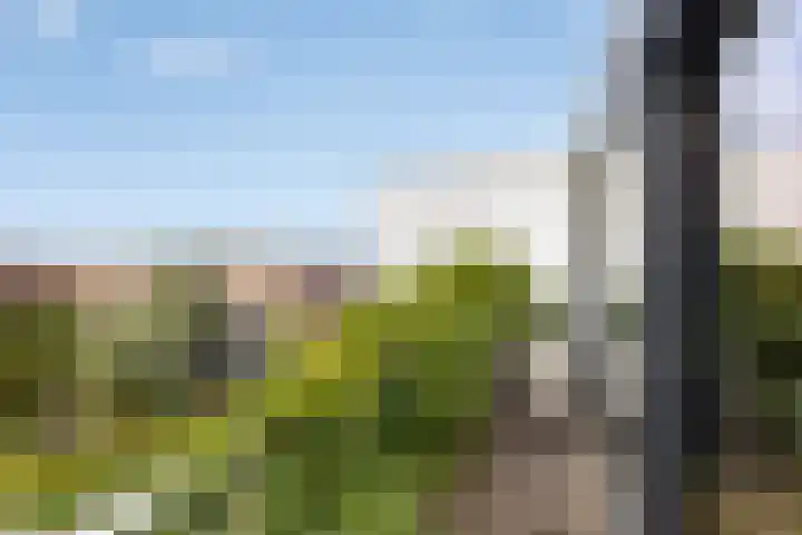 Fluitekruidstraat 31 Goes thumbnail 35