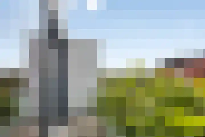 Fluitekruidstraat 31 Goes thumbnail 36