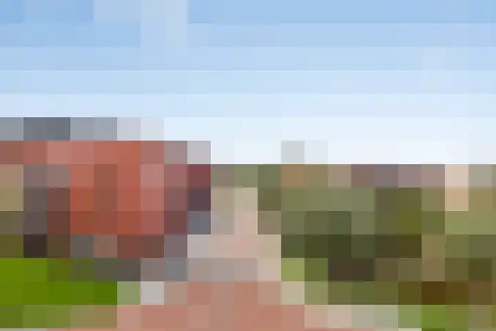 Fluitekruidstraat 31 Goes thumbnail 37