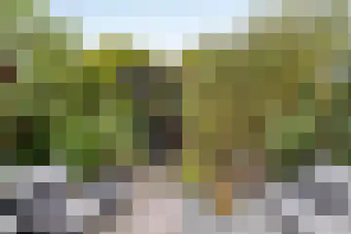 Fluitekruidstraat 31 Goes thumbnail 38
