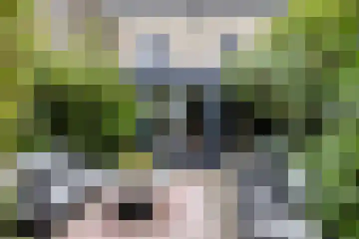 Fluitekruidstraat 31 Goes thumbnail 39