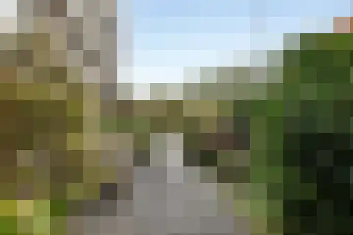 Fluitekruidstraat 31 Goes thumbnail 4