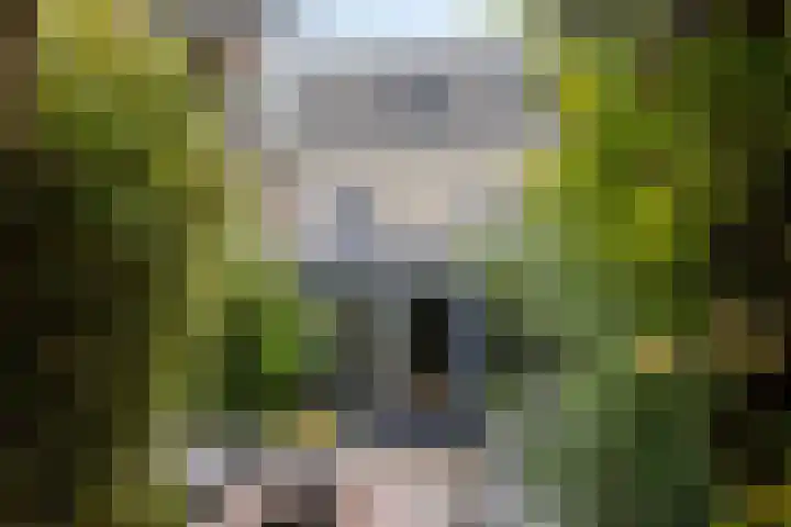 Fluitekruidstraat 31 Goes thumbnail 40