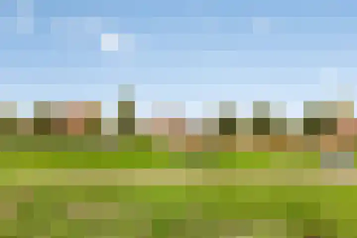 Fluitekruidstraat 31 Goes thumbnail 42