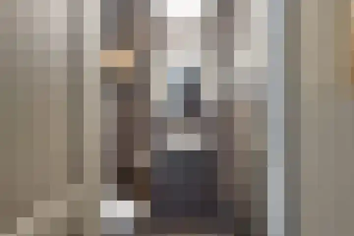 Fluitekruidstraat 31 Goes thumbnail 7