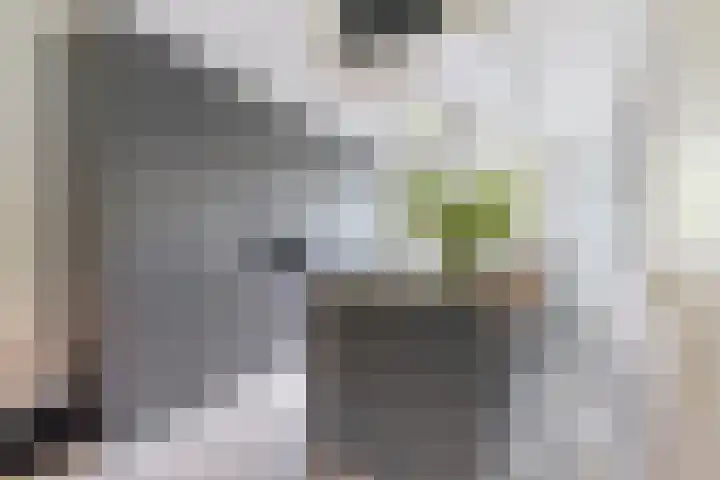 Fluitekruidstraat 46 Goes thumbnail 10