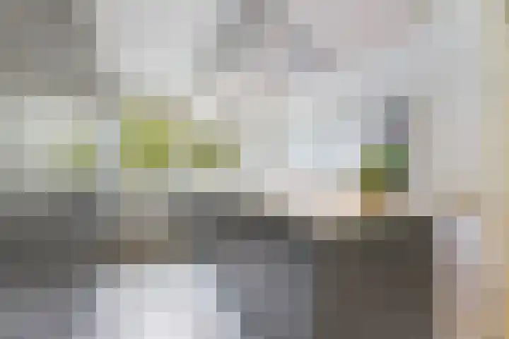 Fluitekruidstraat 46 Goes thumbnail 11