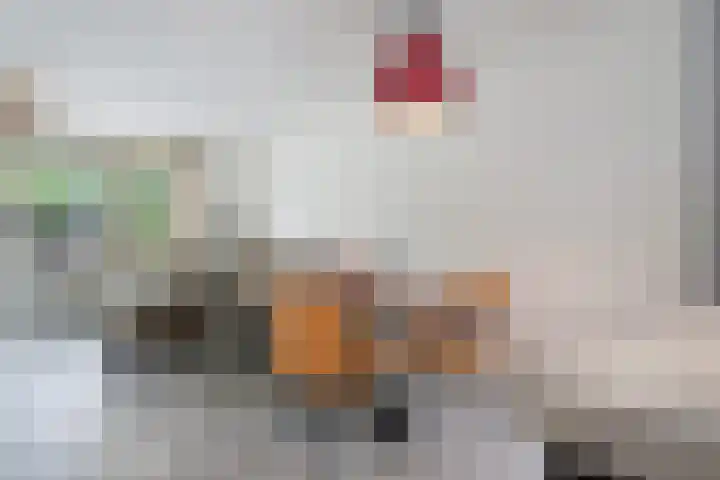 Fluitekruidstraat 46 Goes thumbnail 13