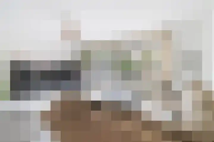 Fluitekruidstraat 46 Goes thumbnail 15