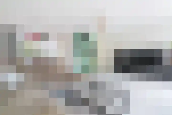 Fluitekruidstraat 46 Goes thumbnail 16