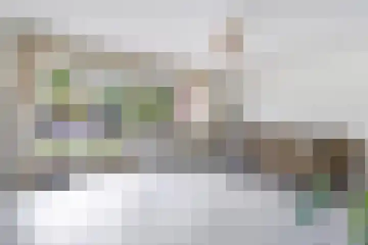 Fluitekruidstraat 46 Goes thumbnail 17