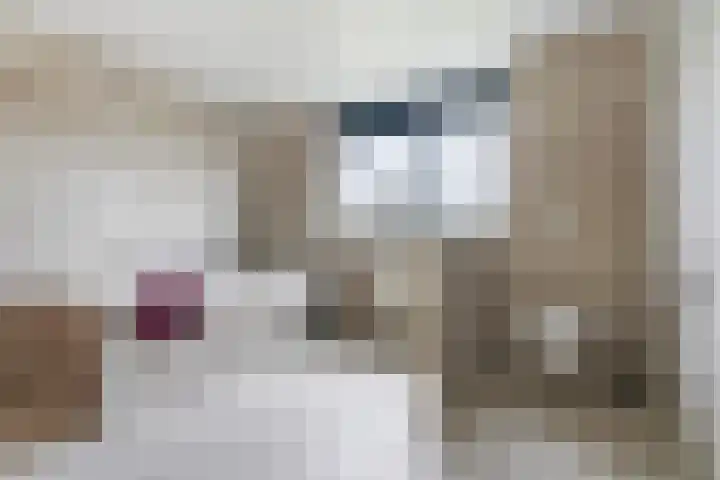 Fluitekruidstraat 46 Goes thumbnail 25