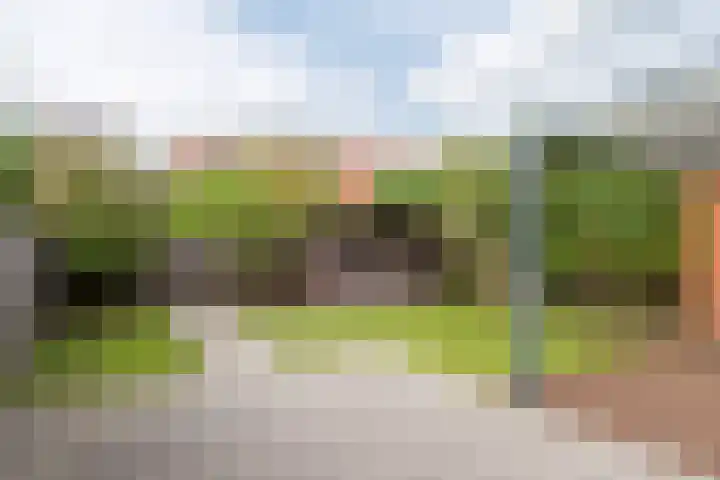 Fluitekruidstraat 46 Goes thumbnail 36