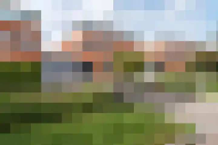 Fluitekruidstraat 46 Goes thumbnail 38