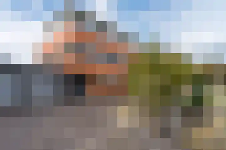 Fluitekruidstraat 46 Goes thumbnail 5