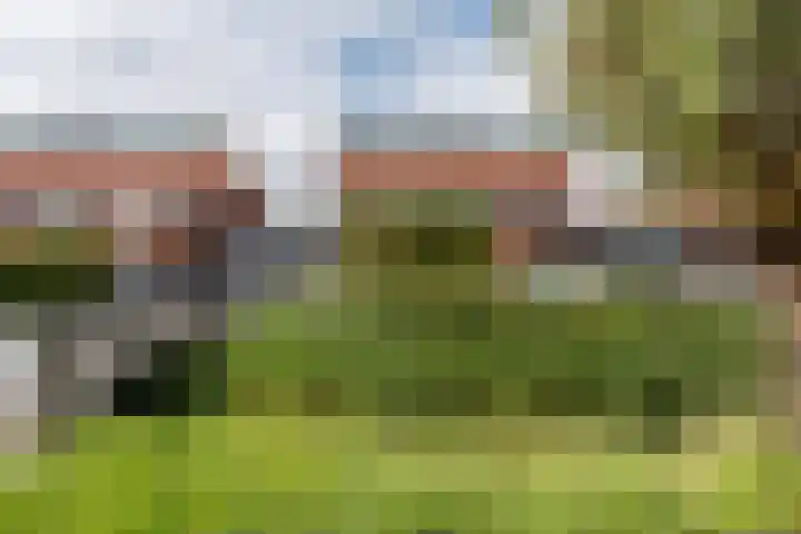 Fluitekruidstraat 46 Goes thumbnail 6