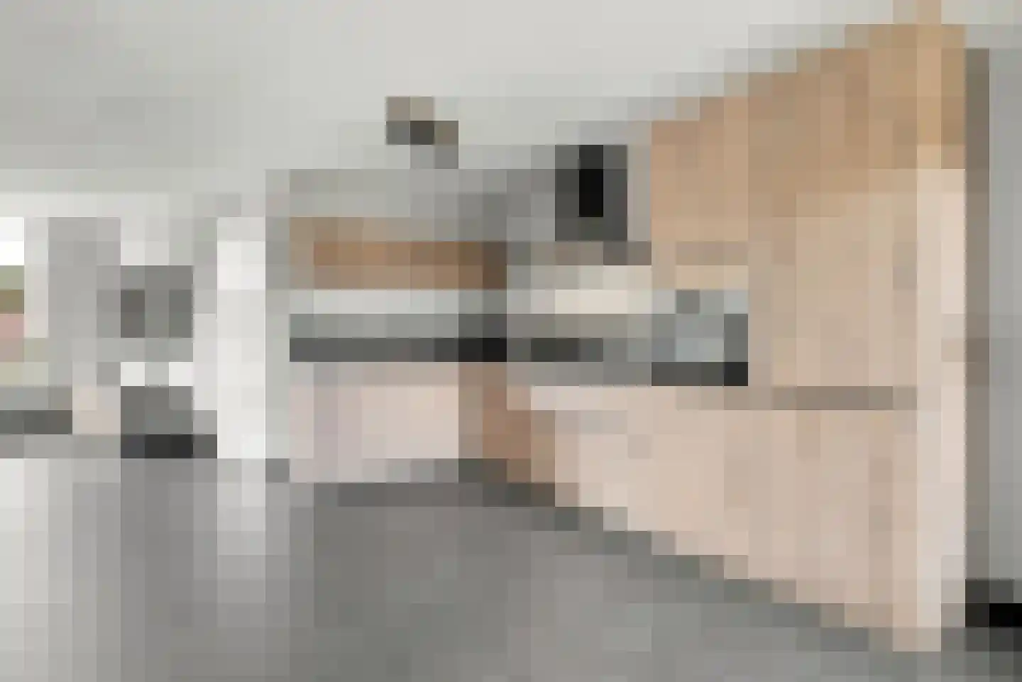 Fluitekruidstraat 57 Goes thumbnail 10
