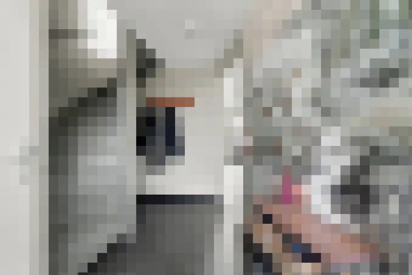 Fluitekruidstraat 57 Goes thumbnail 14