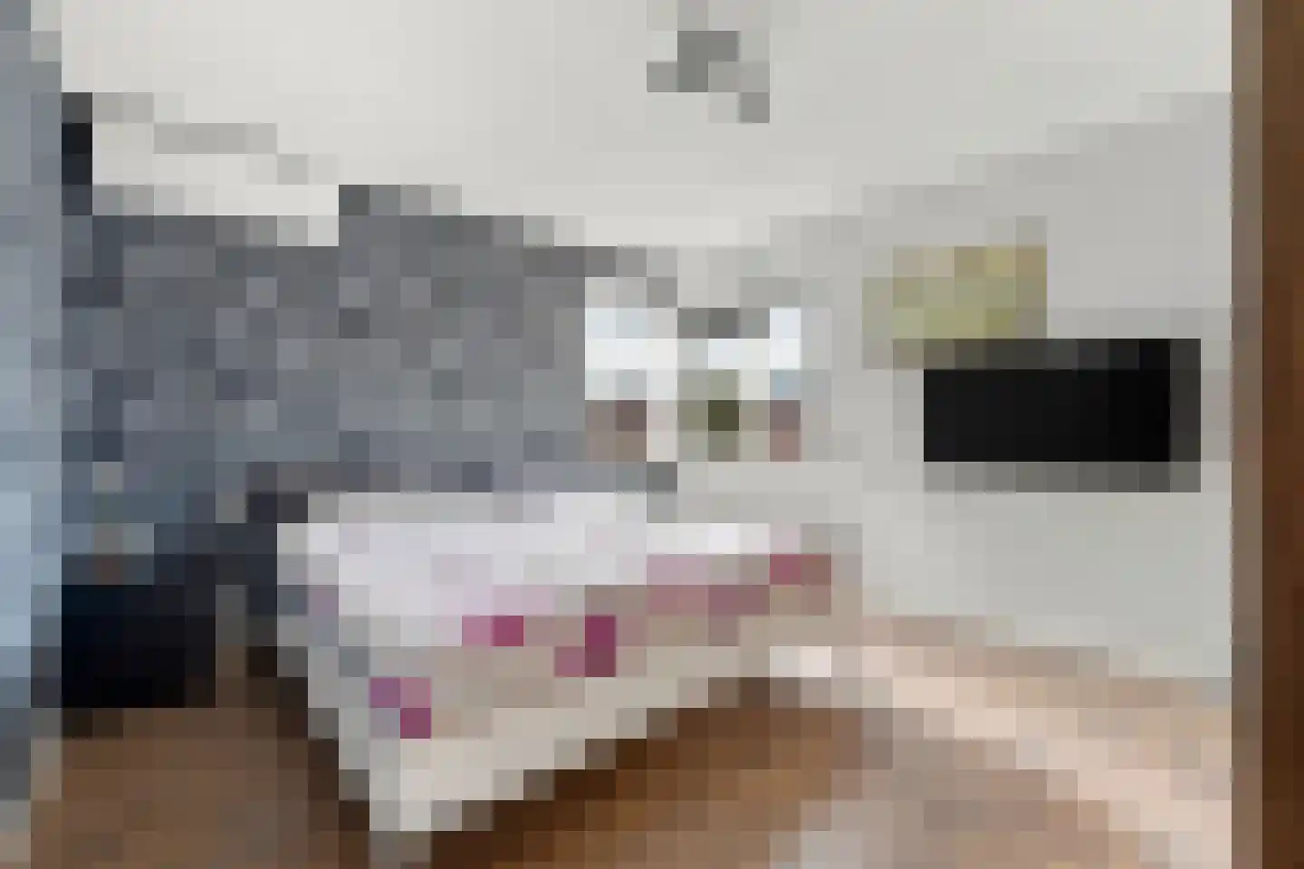 Fluitekruidstraat 57 Goes thumbnail 16
