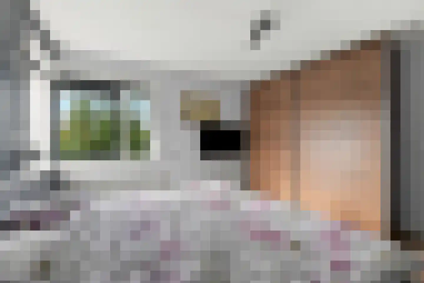 Fluitekruidstraat 57 Goes thumbnail 17