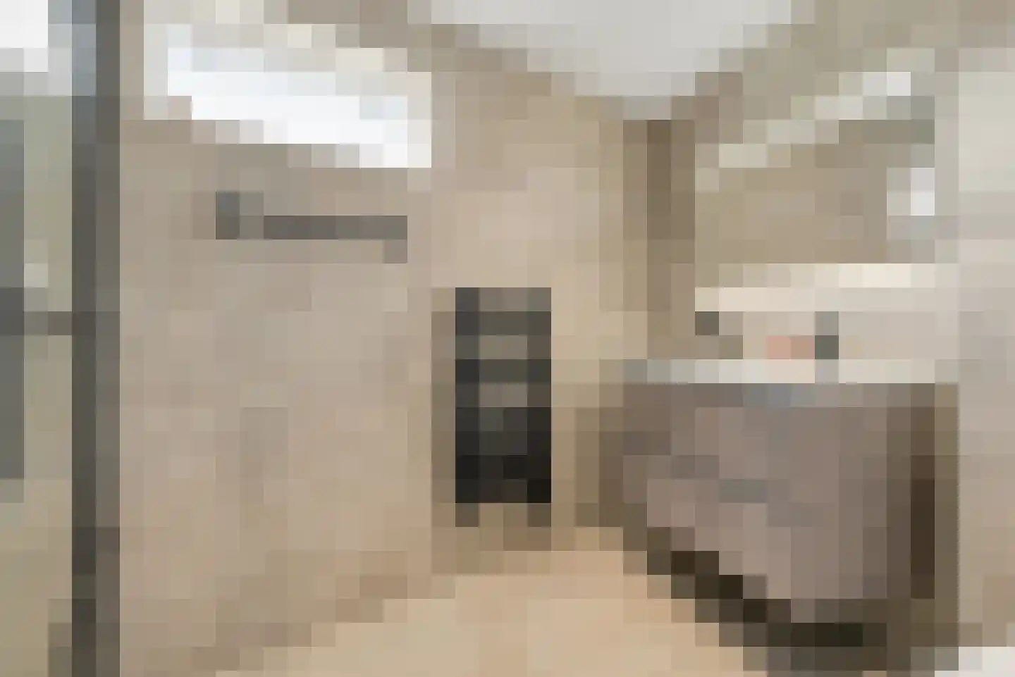 Fluitekruidstraat 57 Goes thumbnail 22