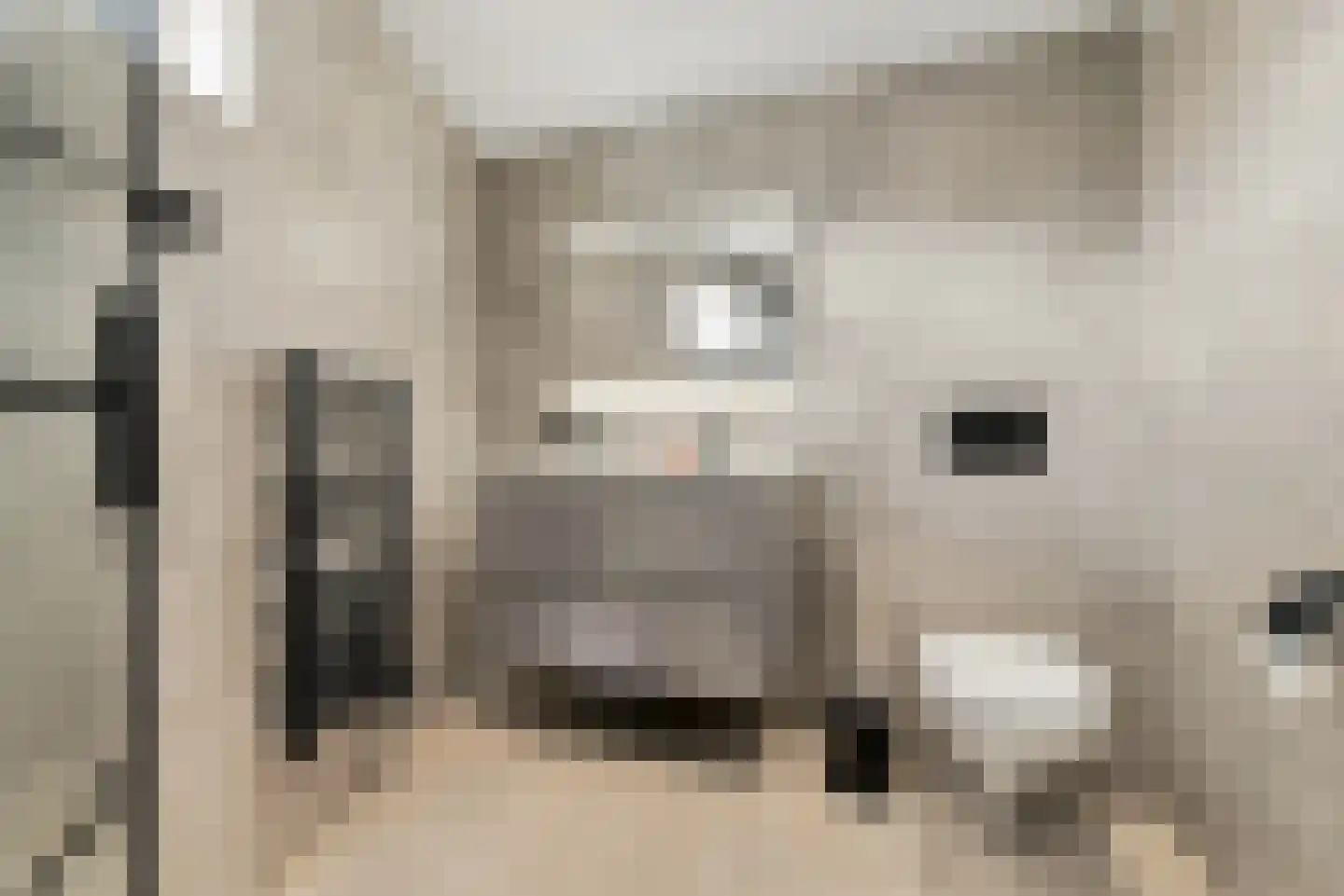 Fluitekruidstraat 57 Goes thumbnail 24