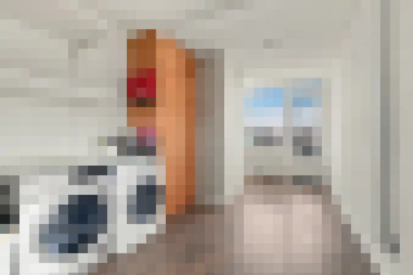 Fluitekruidstraat 57 Goes thumbnail 26